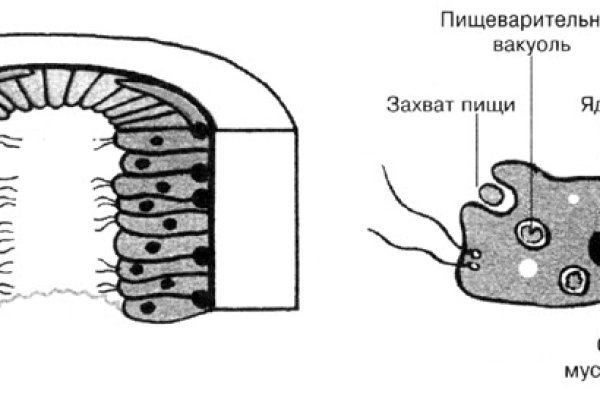 Кракен не работает сайт