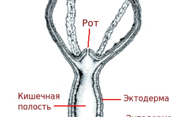 Кракен магазин оренбург