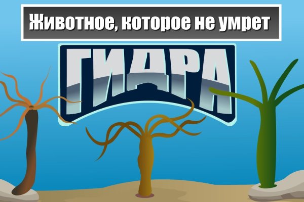 Зайти на кракен