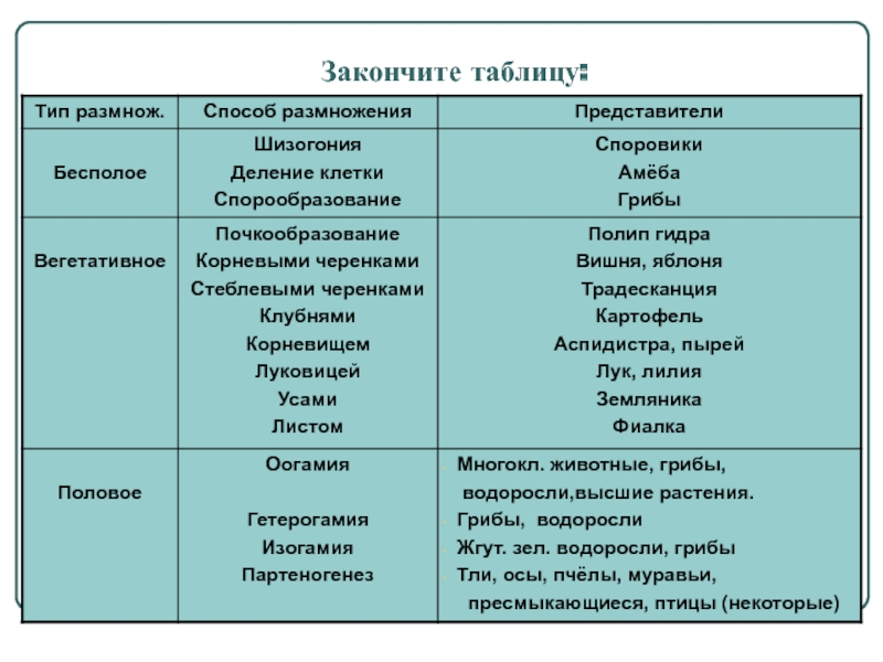 Кракен настоящий сайт